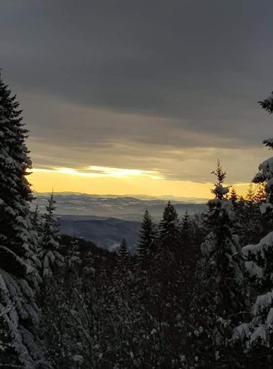 Vila Irina - Apartman Milos Kopaonik Exteriér fotografie