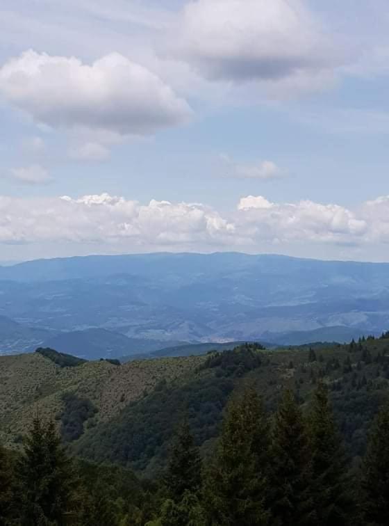 Vila Irina - Apartman Milos Kopaonik Exteriér fotografie