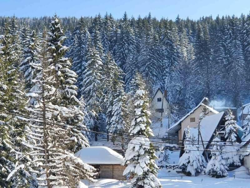 Vila Irina - Apartman Milos Kopaonik Exteriér fotografie