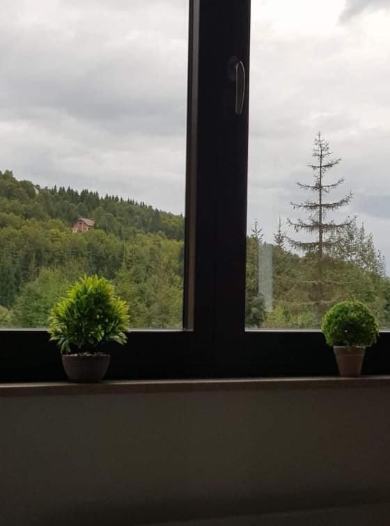 Vila Irina - Apartman Milos Kopaonik Exteriér fotografie