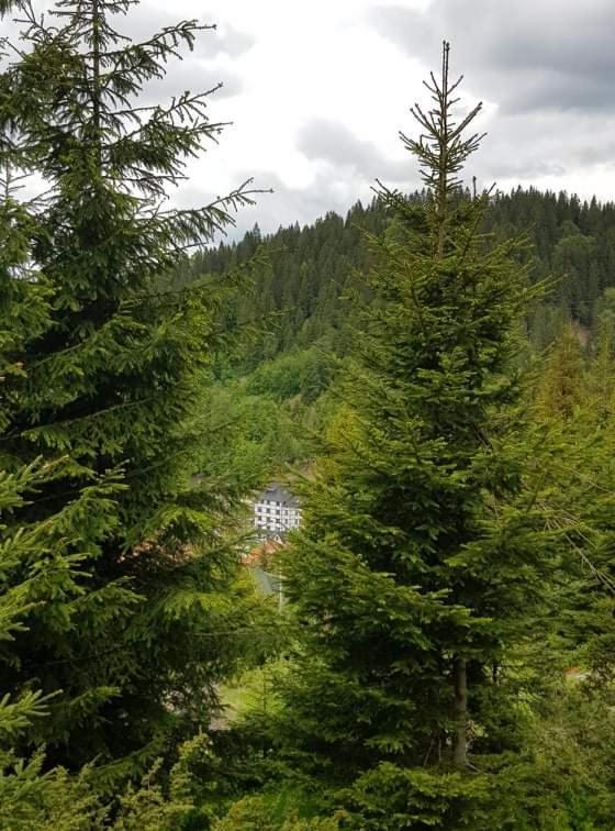 Vila Irina - Apartman Milos Kopaonik Exteriér fotografie