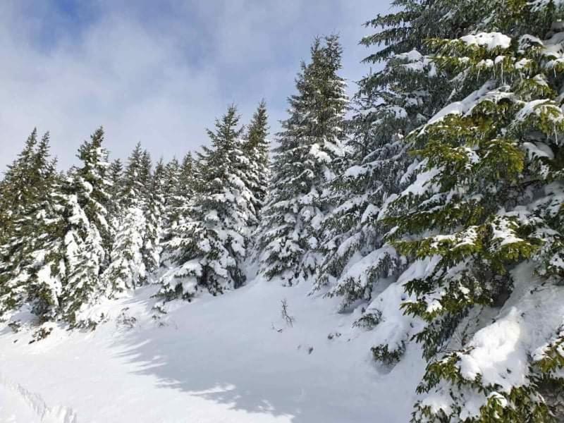 Vila Irina - Apartman Milos Kopaonik Exteriér fotografie