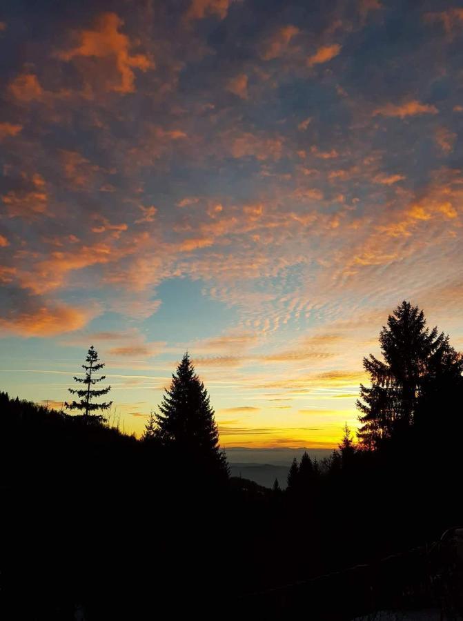 Vila Irina - Apartman Milos Kopaonik Exteriér fotografie