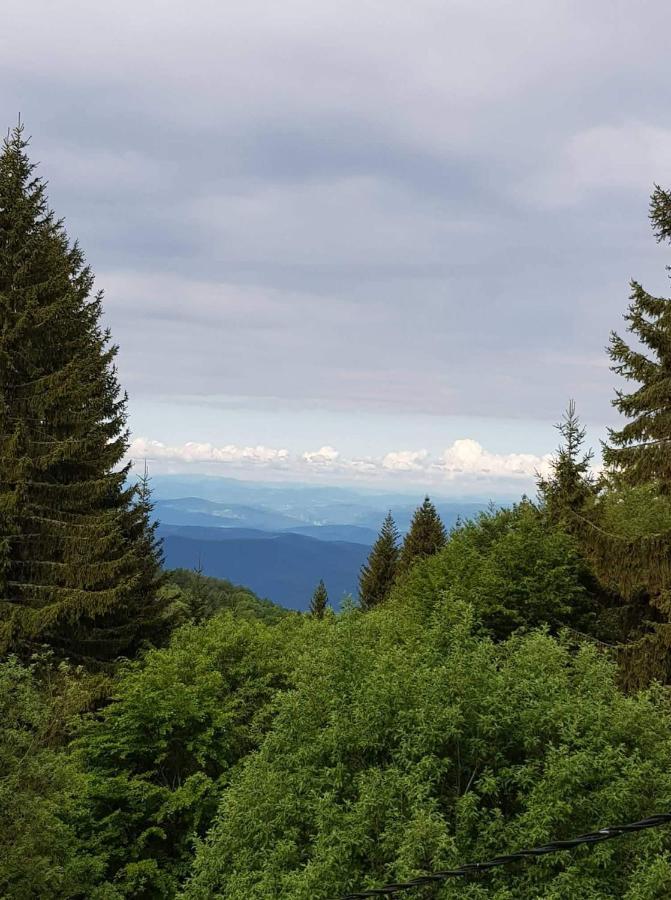 Vila Irina - Apartman Milos Kopaonik Exteriér fotografie