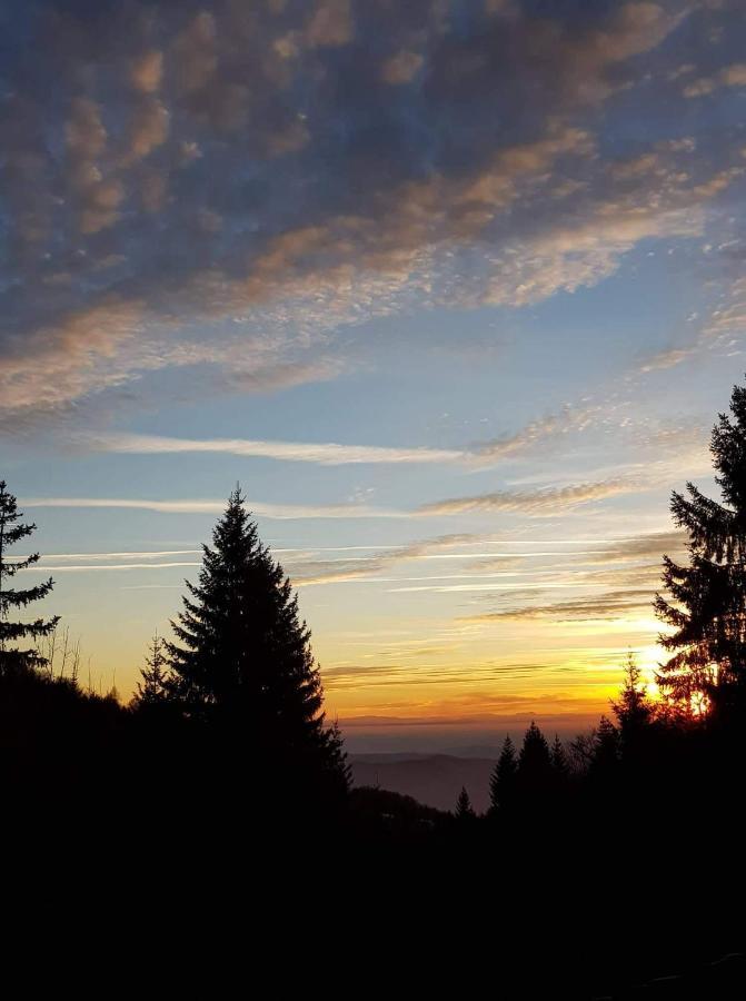 Vila Irina - Apartman Milos Kopaonik Exteriér fotografie