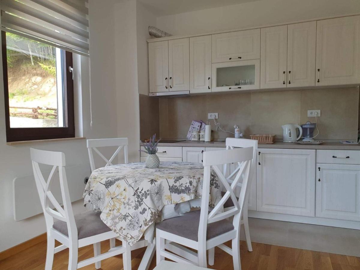 Vila Irina - Apartman Milos Kopaonik Exteriér fotografie